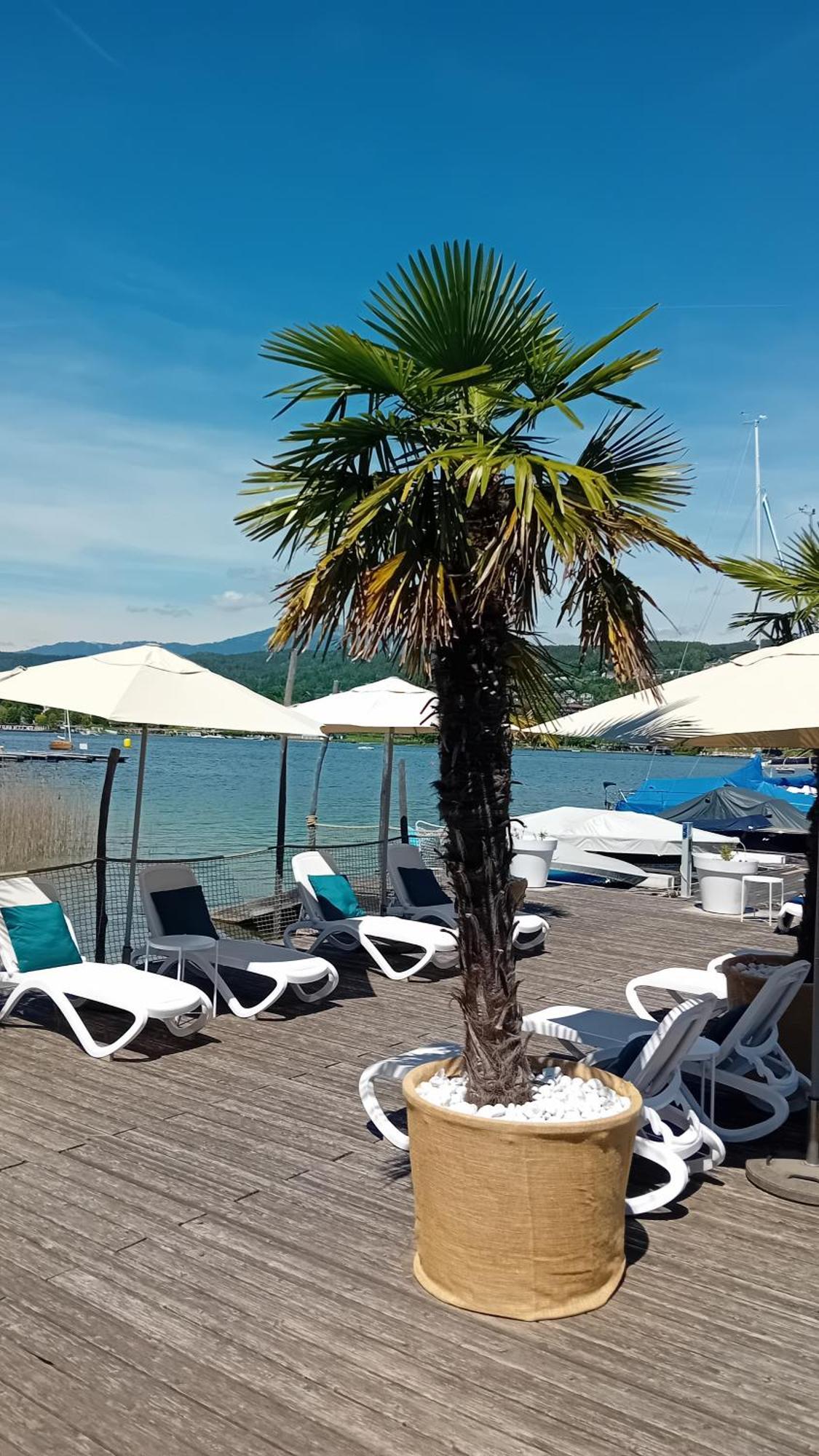 Tennis & Yacht Hotel Velden Velden am Wörthersee Eksteriør bilde